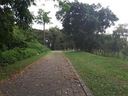 Archipelago (D16), Condominium #155727502